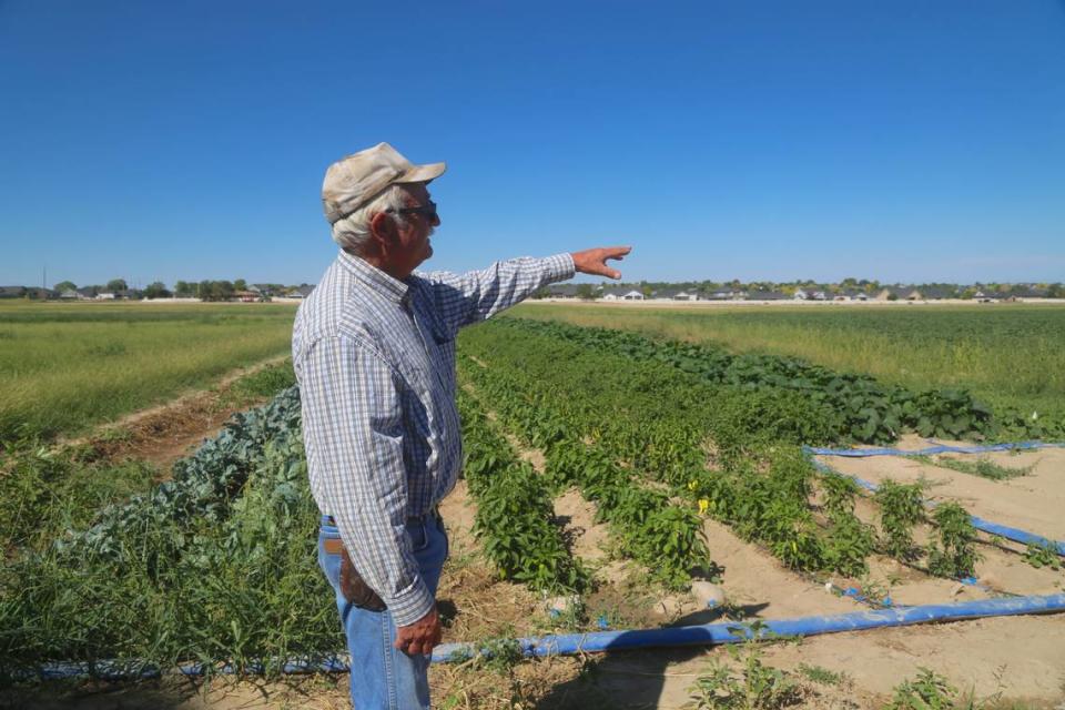 Matt Wissel looks over a portion of his field at Wissel Farms in Nampa. Wissel Farms is a family-owned business that participates in a community supported agriculture network that connects consumers with fresh produce from local farms.
