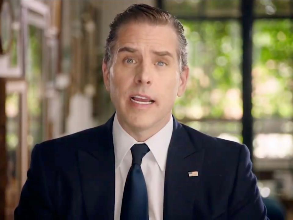 Hunter Biden addresses the virtual Democratic National Convention