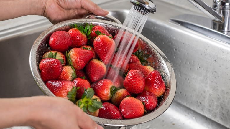 person rinsing strawberries in sink