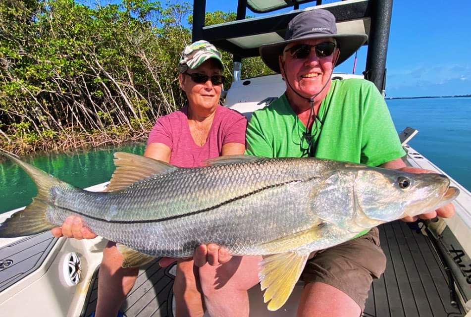 Big snook like this one March 15, 2024 are being caught in the Indian River Lagoon around mangrove shorelines on live bait.