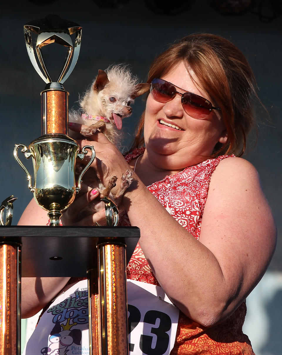 Canines Compete In World's Ugliest Dog Contest