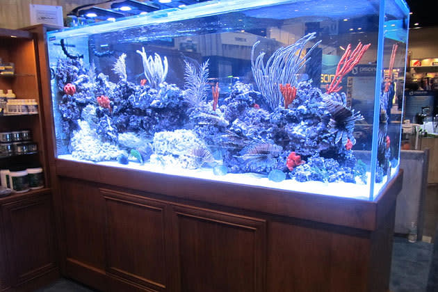 Boyd Enterprises Reef Aquaria Design, $60,000