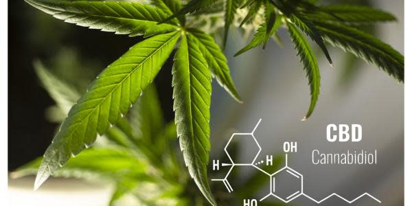 Does CBD have anti cancer properties? 