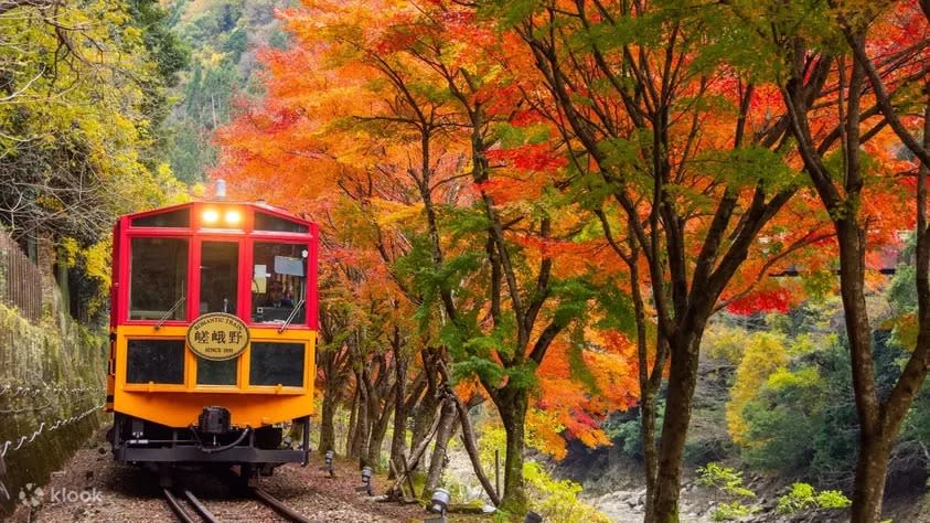 Autumn Sagano Romantic Train Half-Day Tour in Arashiyama. (Photo: Klook SG)