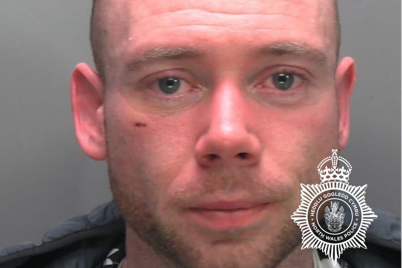 James Burton, 31, of Bryn y Mor, Dinas Dinlle, Gwynedd, was jailed at Mold Crown Court for 12 months for arson