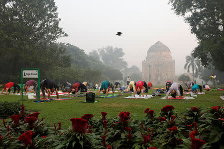 People exercise at a park on a smoggy morning in New Delhi, India, October 30, 2018. REUTERS/Anushree Fadnavis