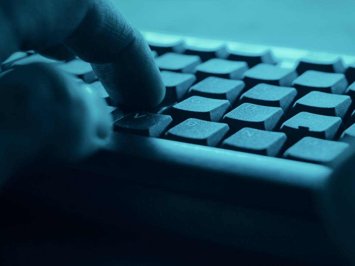 On Friday, the province gave details on 94,574 of the records stolen in a cyberattack identified last week. (PabloLagarto/Shutterstock - image credit)