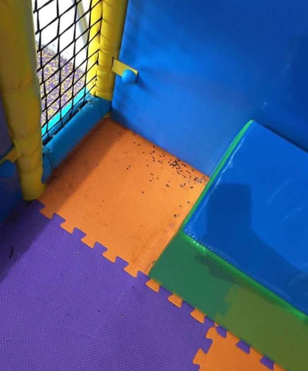 Images posted to social media clearly show the droppings in a corner of the play equipment. Photo: Facebook