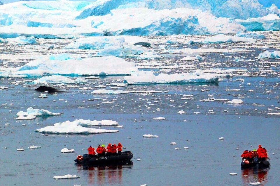 Whale watching is a frequent outdoor activity on the Seabourn Venture