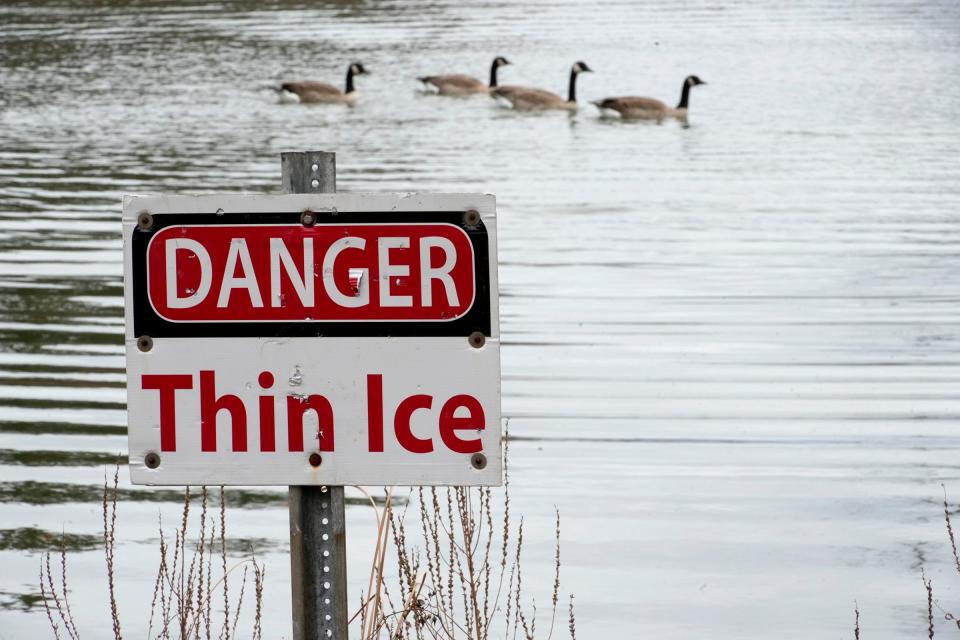 A thin ice sign is posted as Canada geese swim on a thawed Juneau Park Lagoon near Veterans Park off the shores of Lake Michigan in Milwaukee on Wednesday, Jan. 3, 2024. Great Lakes ice cover was at record low on Jan. 1, that could still change, but the 2024 outlook is a concern.