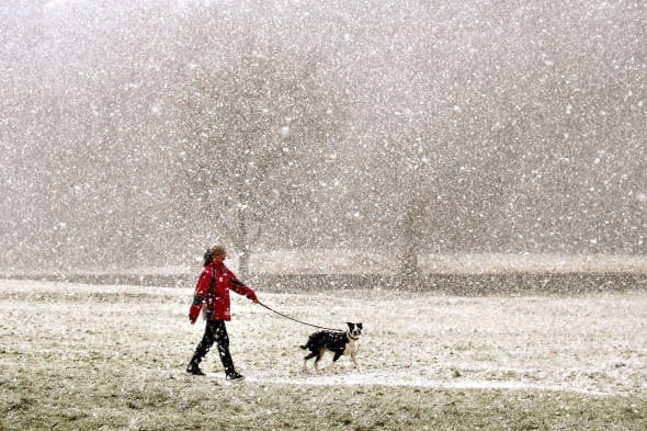 Arctic winds will make it feel like -13C today as six inches of snow sweeps in