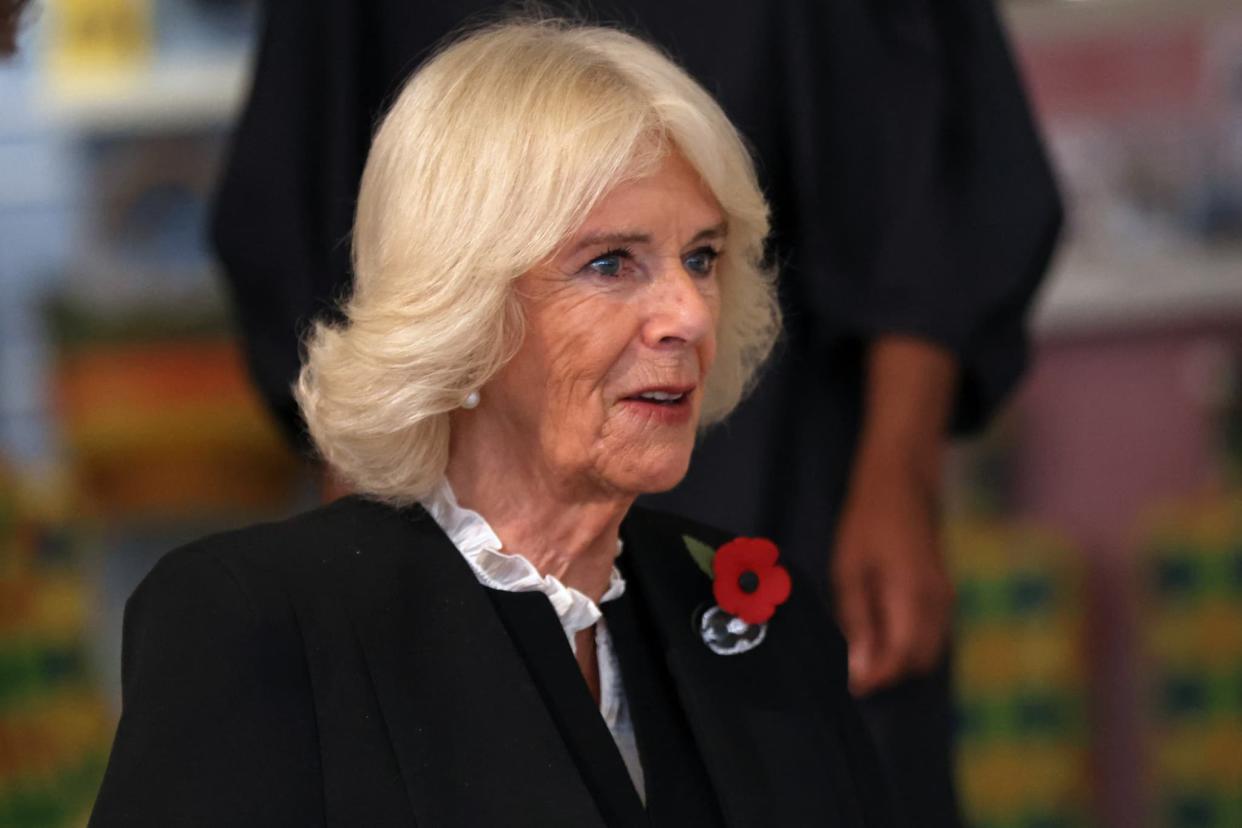 La reine consort Camilla le 3 novembre 2022 - ISABEL INFANTES / AFP