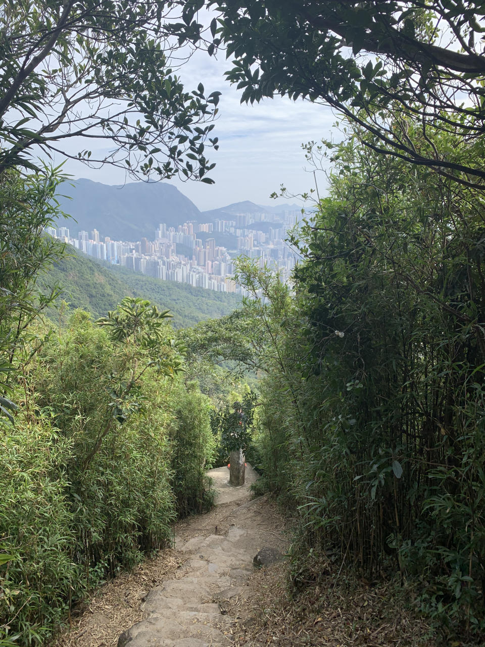 行山路線｜筆架山簡易三小時登山徑！俯瞰九龍半島景色