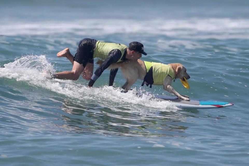 <p>A man surfs with his dog during the Surf City Surf Dog competition in Huntington Beach, California, U.S., September 25, 2016. REUTERS/Lucy Nicholson</p>