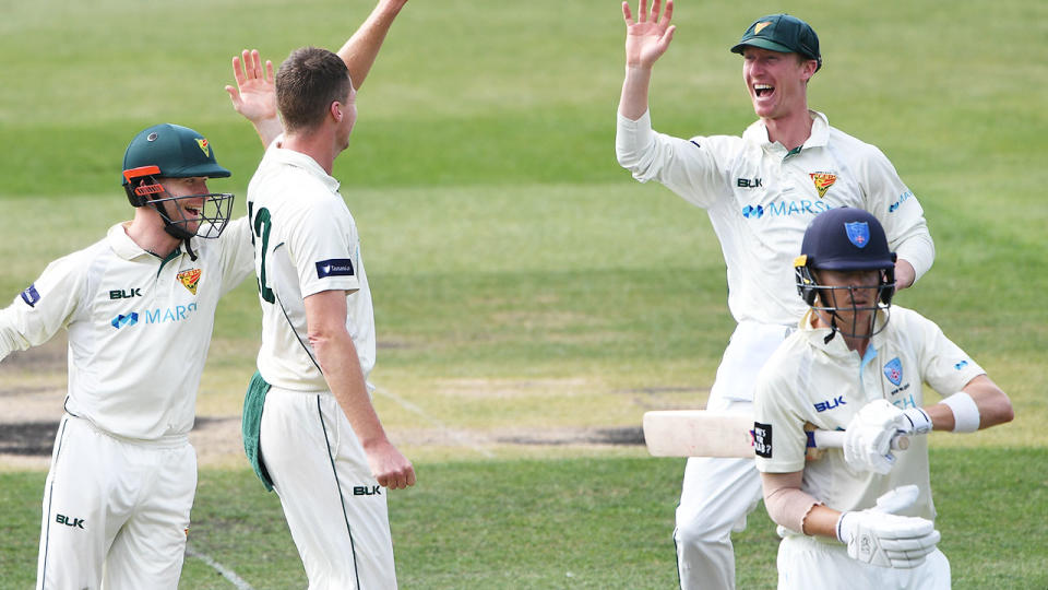 Jackson Bird, pictured here celebrating the wicket of Nick Larkin.