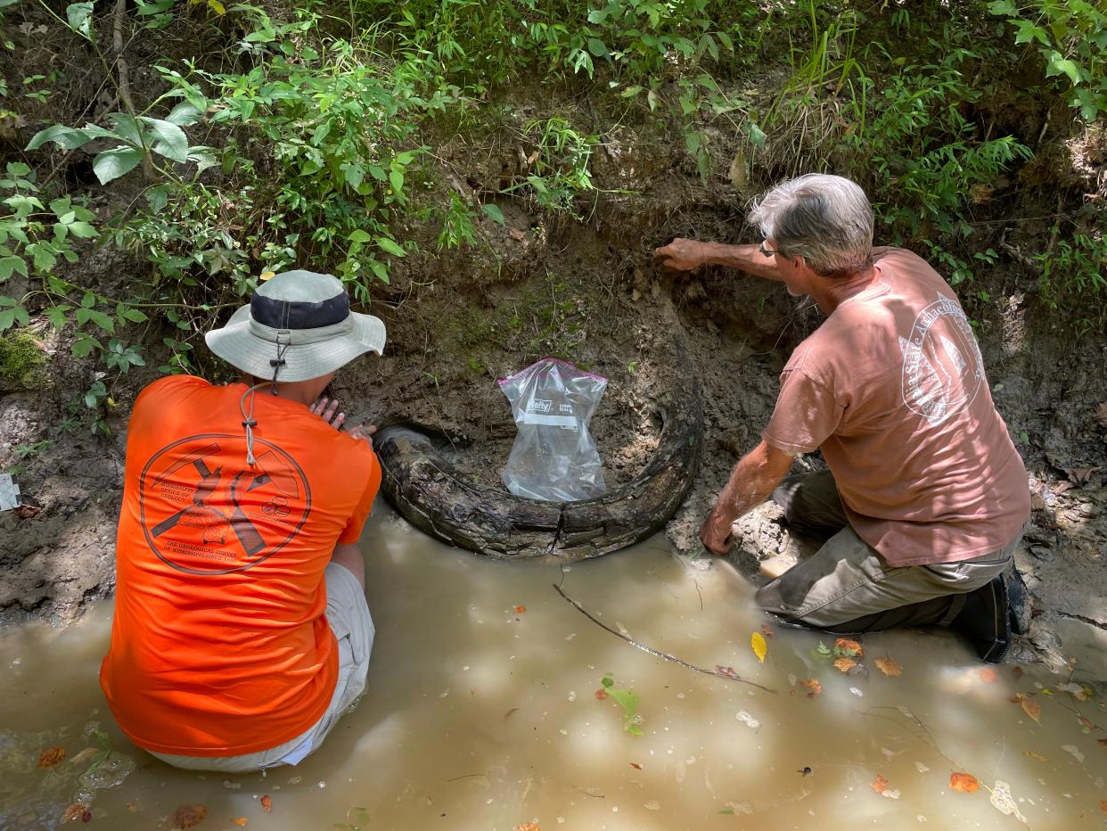 Jonathan Laird (à esquerda), do Bureau de Geologia do Departamento de Qualidade Ambiental do Mississippi, e Eddie Templeton, de Madison, observam o local de uma presa de mamute que Templeton encontrou recentemente em um riacho do condado de Madison.