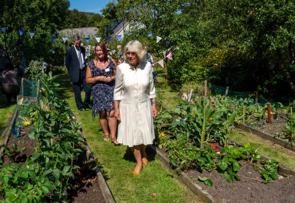 Charles and Camilla were told about the initiatives run by the community group since the start of the outbreak (PA)