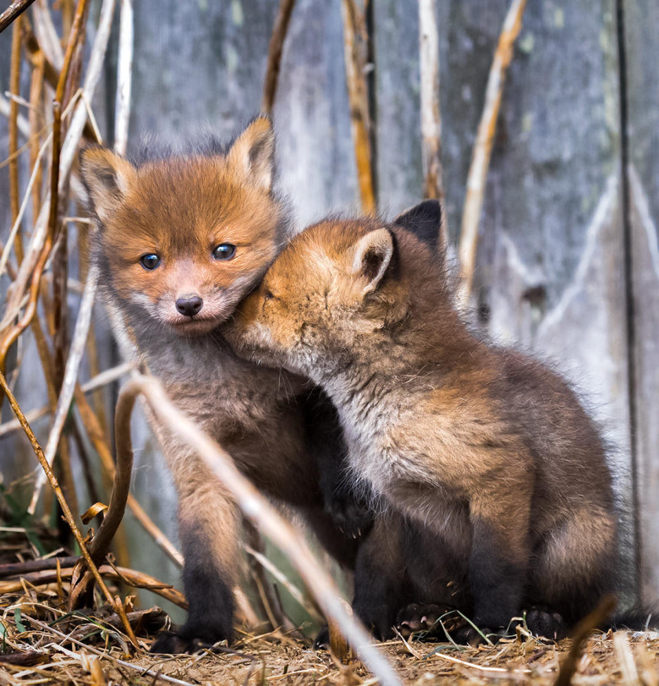 Brotherly comfort