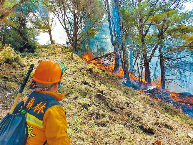 NCC前專委喬建中5月在玉山生營火不慎，引發森林大火。近年不少人到山林野炊，內政部預告「雪霸國家公園區域內禁止事項」修正草案，禁止遊客使用卡式爐等未經核准的炊煮行為。（本報資料照片）