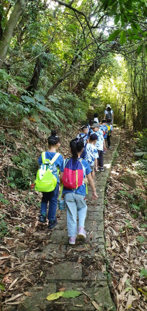 湖山附幼第33屆畢業生從學校步行前往紗帽山。（北市教育局提供）