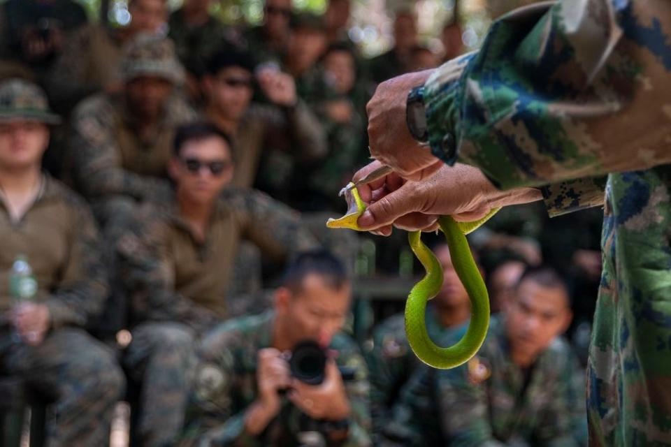 A Royal Thai Marine instructor shows off the teeth of a poisonous, white-lipped viper