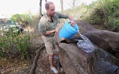 The Duke of Cambridge got stuck in in Kenya in 2016 - Credit: Chris Jackson/Getty Images