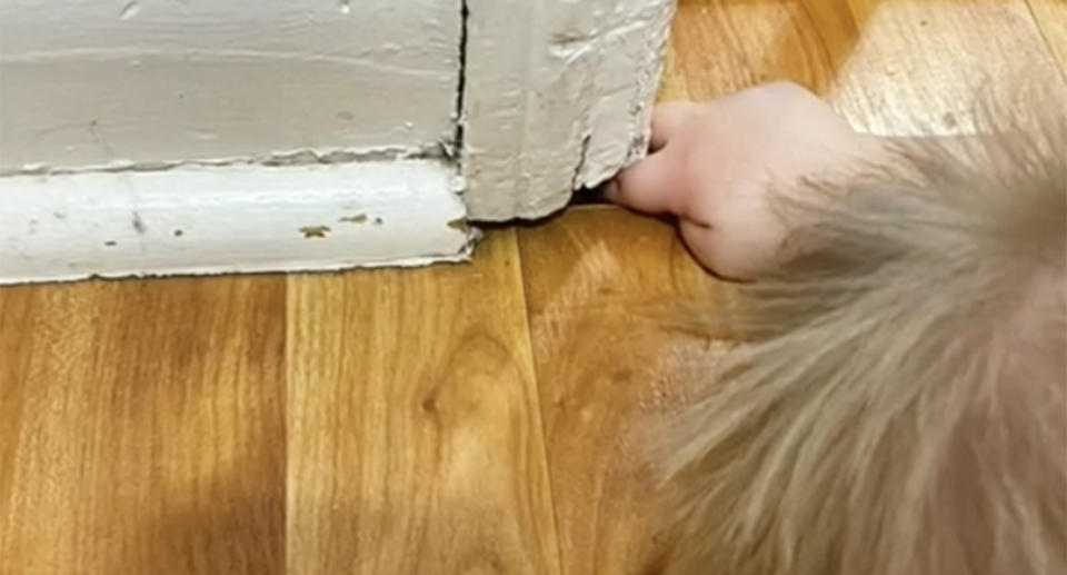 Photo from TikTok video of the boy's hand under a white door frame corner.