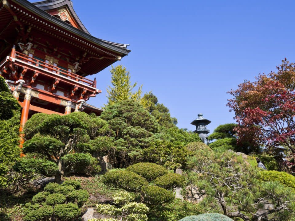 <p>Photo via <a href="https://goldengatepark.com/japanese-tea-garden.html" rel="nofollow noopener" target="_blank" data-ylk="slk:Golden Gate Park;elm:context_link;itc:0;sec:content-canvas" class="link ">Golden Gate Park</a></p>