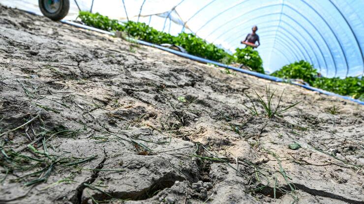 Um im Ernstfall vorbereitet zu sein, können Landwirte eine Dürreversicherung abschließen. Foto: dpa