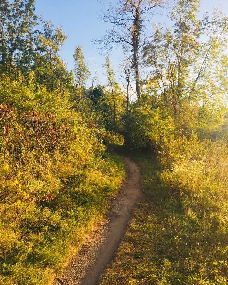 Quarry Ridge Trail System