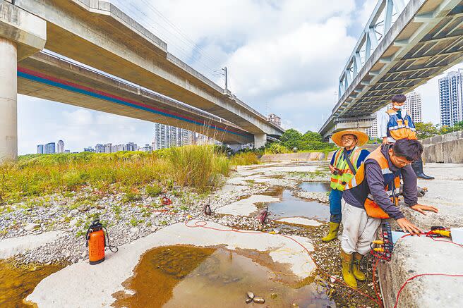 0403花蓮大地震後，新竹縣政府針對跨頭前溪重要橋梁預計10天完成檢測，廠商人員檢測興隆橋，布設電線以電磁波收集資料。（羅浚濱攝）