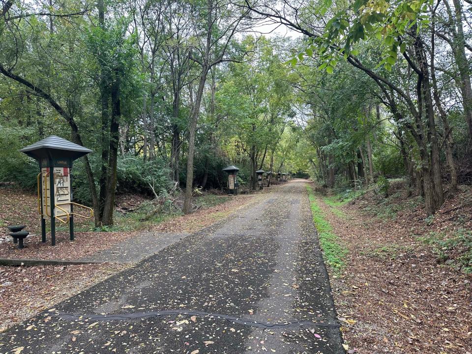 This is near mile 102 of the Cardinal Greenway on the northeast side of Muncie. Dr. Pichtel said this wooded area of the property since remediation has housed bird and butterfly houses.