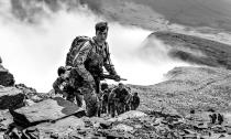 <p>Operation Camera (Op Camera) launched earlier this year was a new incentive to open up the competition to members of the public to find a potentially winning photo of the British Army. (SWNS) </p>