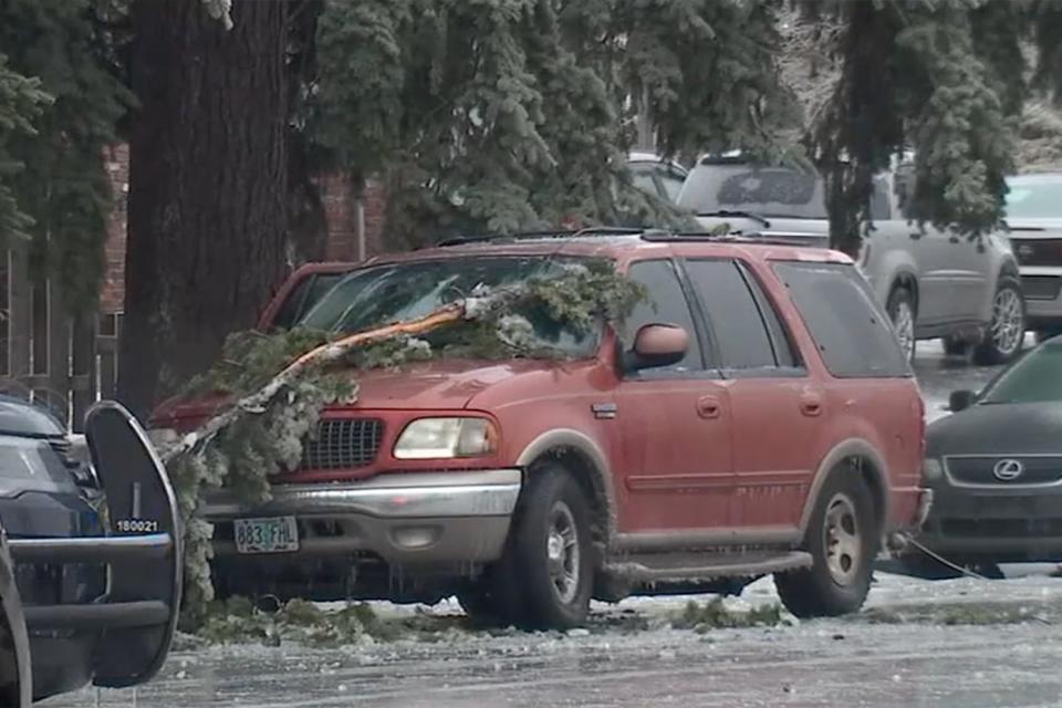 Three people died after a downed power line fell onto their car in Portland, Oregon (KPTV)