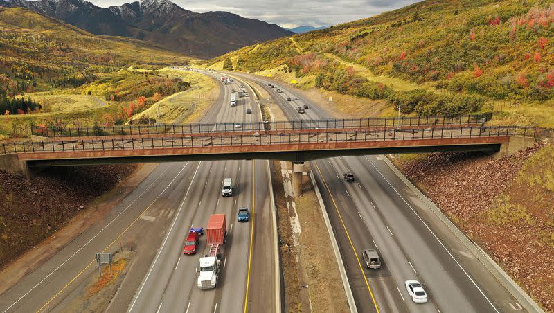 Motorists travel under a wildlife crossing bridge spanning I-80 in Parleys Canyon on Tuesday, Oct. 3, 2023. A recent report examining vehicle collisions with wildlife in 11 states says damages total $1.6 billion a year.