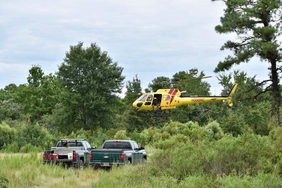 Dry conditions in Eastern North Carolina the past two years have left many areas exceedingly dry and have helped fuel wildfires, including in Holly Shelter Game Land in August 2022.