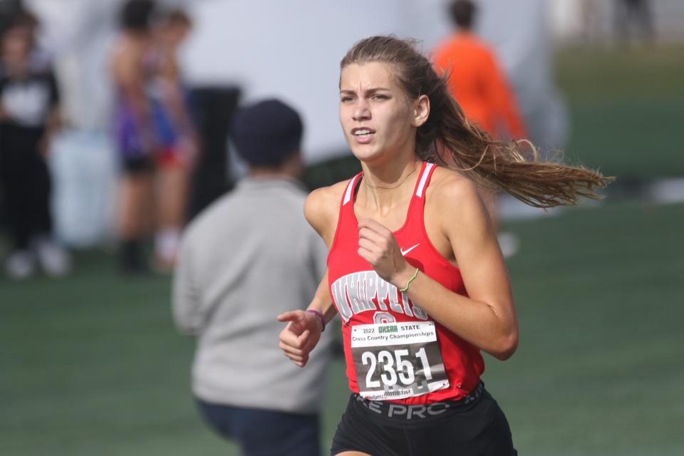 Shelby's Kayla Gonzales was the top finisher of any Richland County runner at this year's state cross country meet.