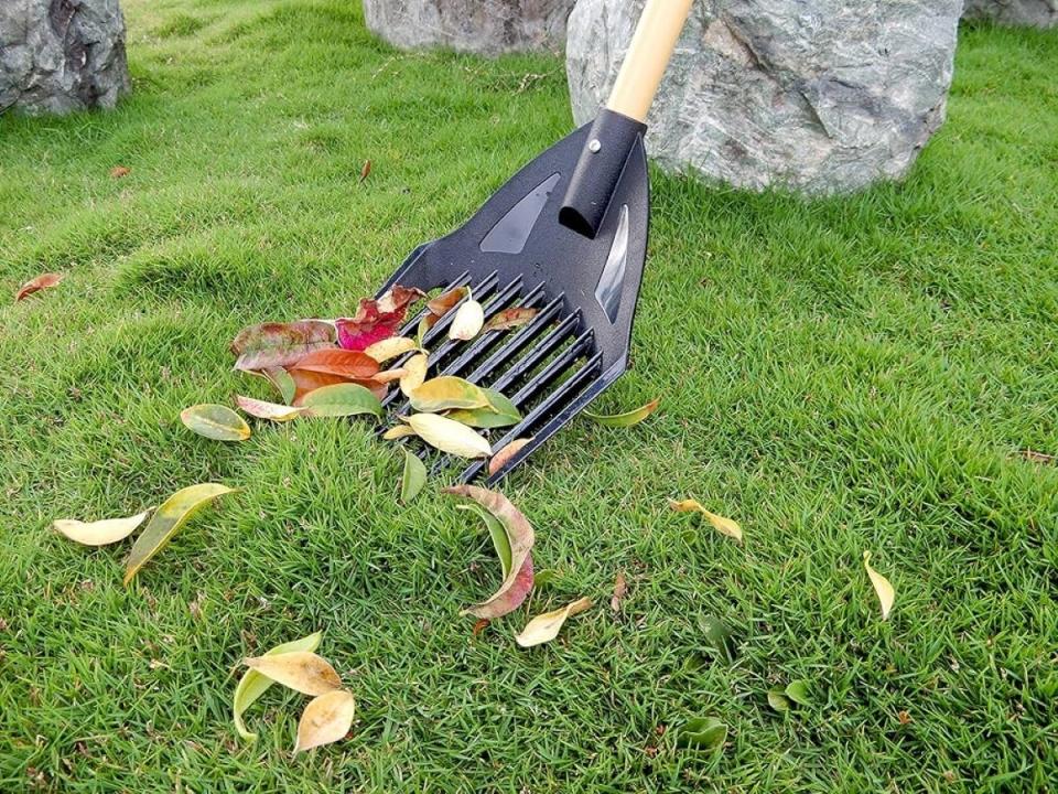 A leaf shovel scoops up the very last few fallen leaves in the yard.