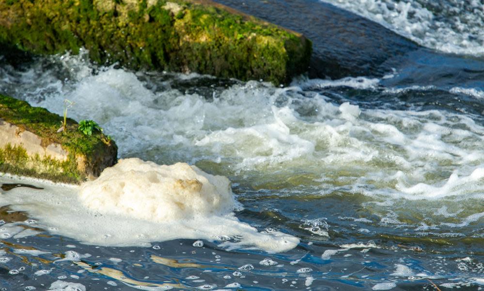 <span>Photograph: Maureen McLean/Rex/Shutterstock</span>