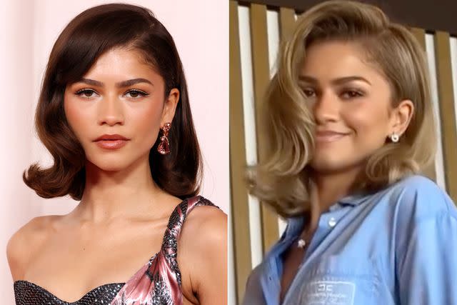 <p>John Shearer/WireImage; Law Roach/Instagram</p> Zendaya