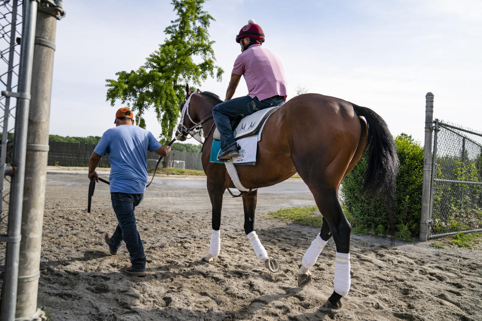 Belmont Stakes entrant Rombauer is led towards the main track for a training run ahead of the 153rd running of the Belmont Stakes horse race, Wednesday, June 2, 2021, at Belmont Park in Elmont, N.Y. (AP Photo/John Minchillo)