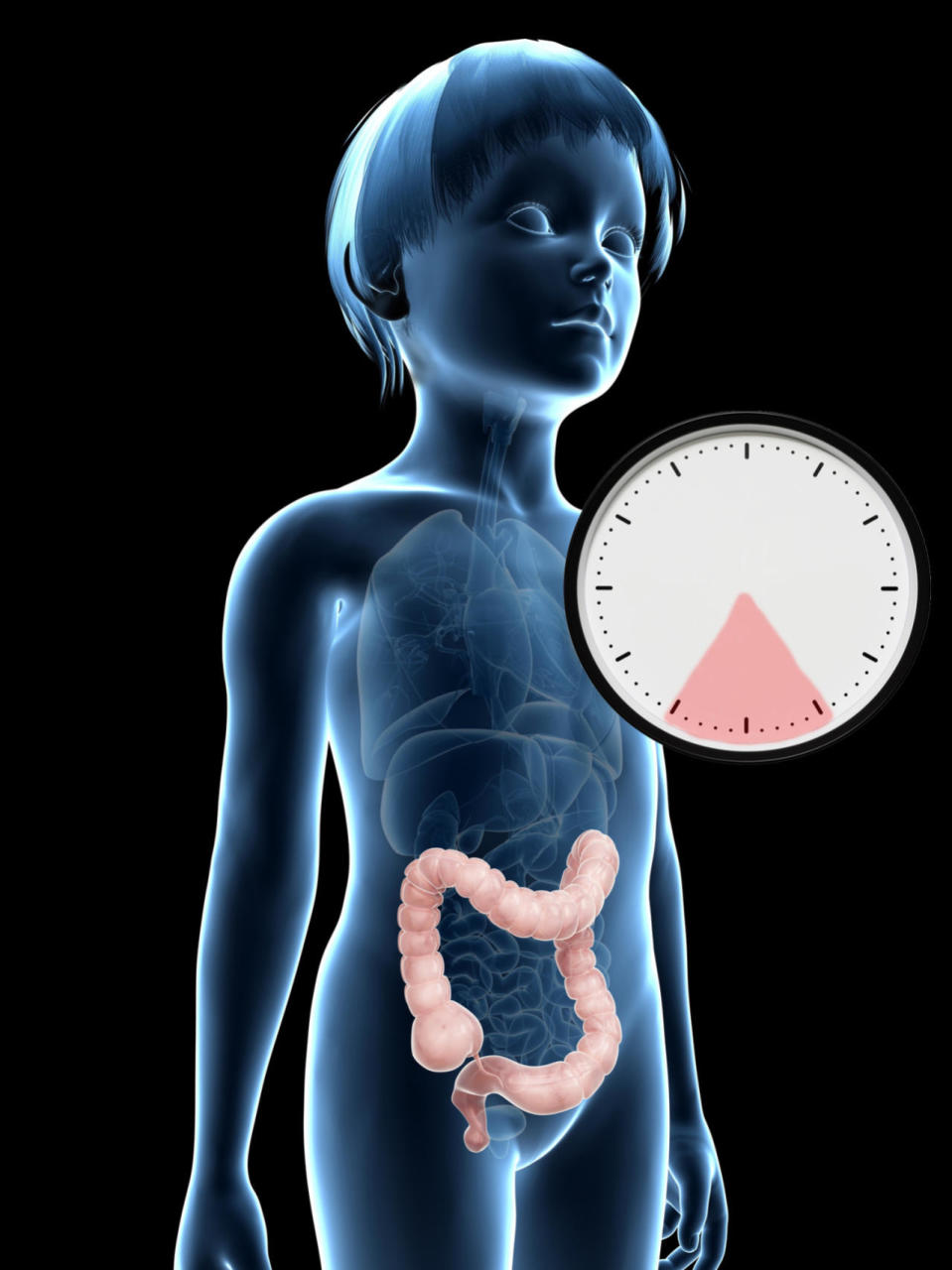 5 to 7 a.m.: Large intestine