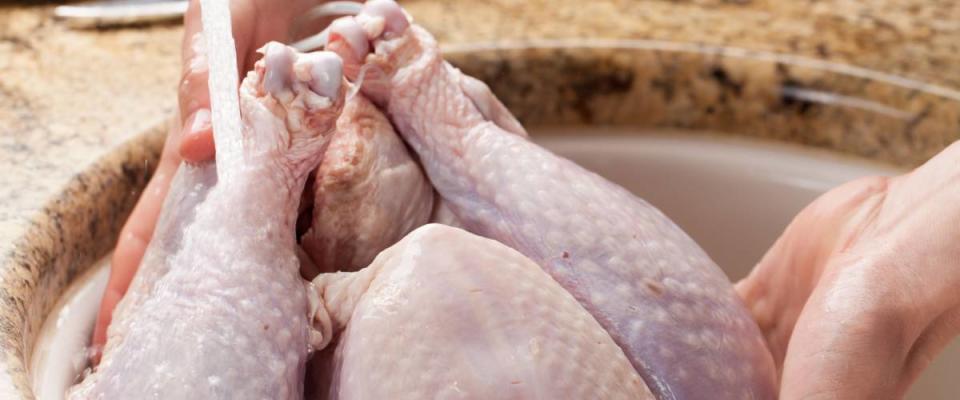 Oven roasted turkey being washed in sink, raw