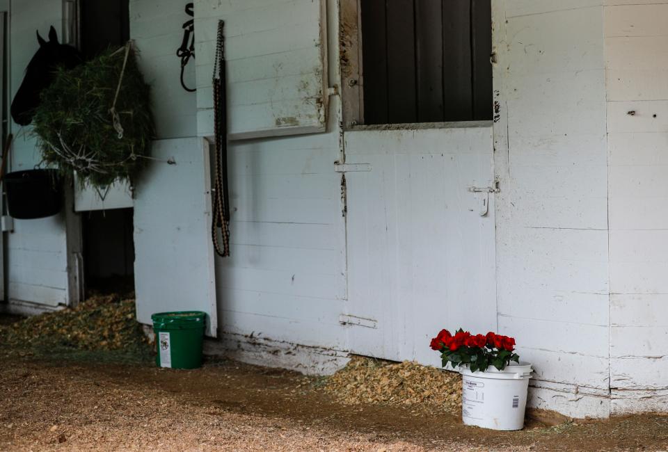 Red roses in a bucket were left in the empty stall of former Kentucky Derby horse Wild On Ice at Barn 43 Friday, April 28, 2023 at Churchill Downs in Louisville, Ky. The gelding suffered a fracture in the left hind leg while training the day before and had to be euthanized.