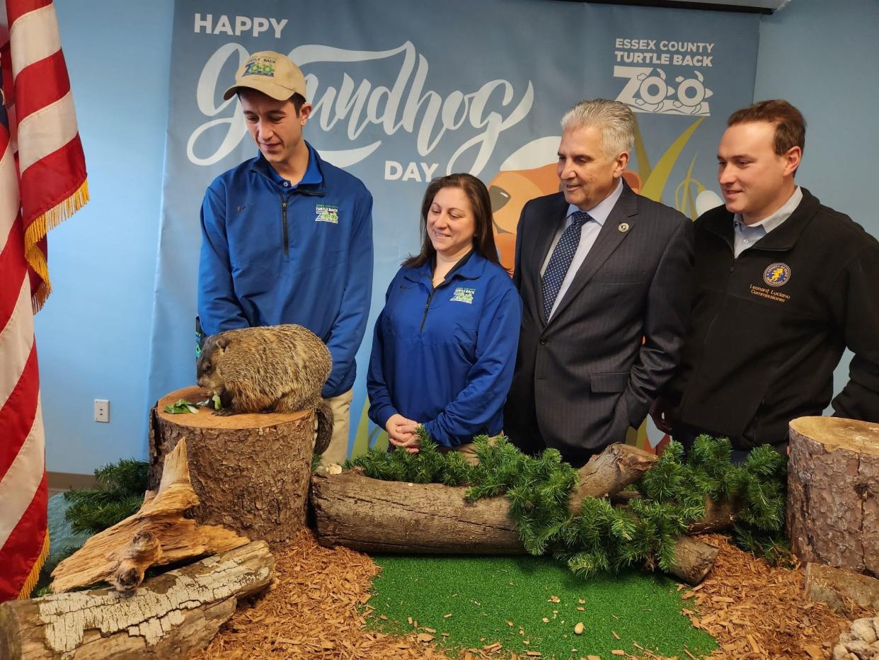 Essex County Executive Joseph N. DiVincenzo Jr. (third from left) announced that Essex Edwina, Turtle Back Zoo’s resident groundhog, saw her shadow and is predicting another six weeks of colder weather. Essex Edwina made her prediction during Turtle Back’s annual Groundhog Day Celebration. With the county executive are (from left) Zoo Animal Ambassador Keeper John Kleodudis, Zoo Director Jilian Fazio and Commissioner Len Luciano.