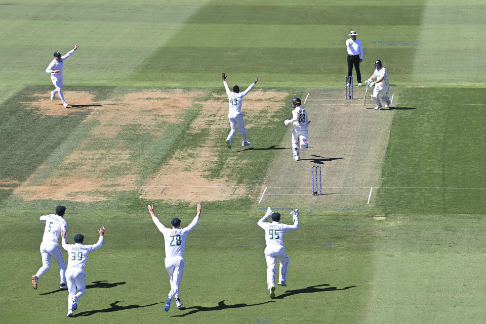 Tshepo Moreki of South Africa, #43, celebrates with teammates after taking the wicket of New Zealand's Devon Conway during the first day of the first cricket test between New Zealand and South Africa at Bay Oval, Mt Maunganui, New Zealand. Sunday Feb. 4, 2024. (Photo: Andrew Cornaga/Photosport via AP)