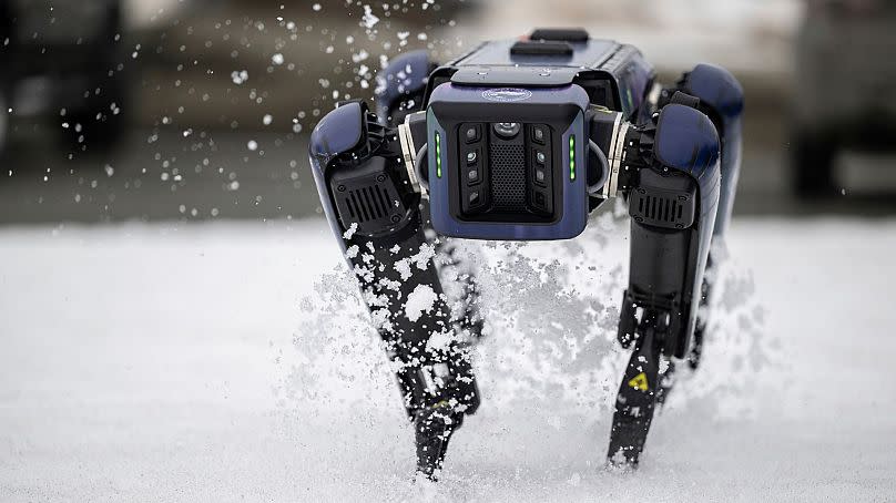 An Alaska Department of Transportation robotic dog walks through snow in Anchorage, Alaska, on 26 March 2024.