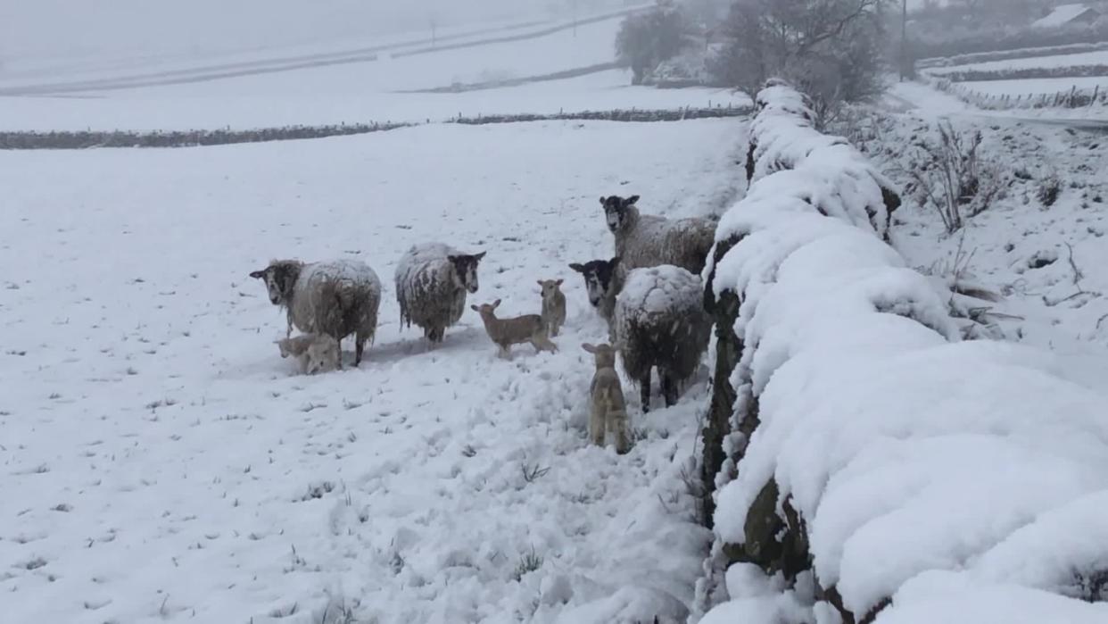 Northumberland was hit particularly bad by the wintry blast (PA)