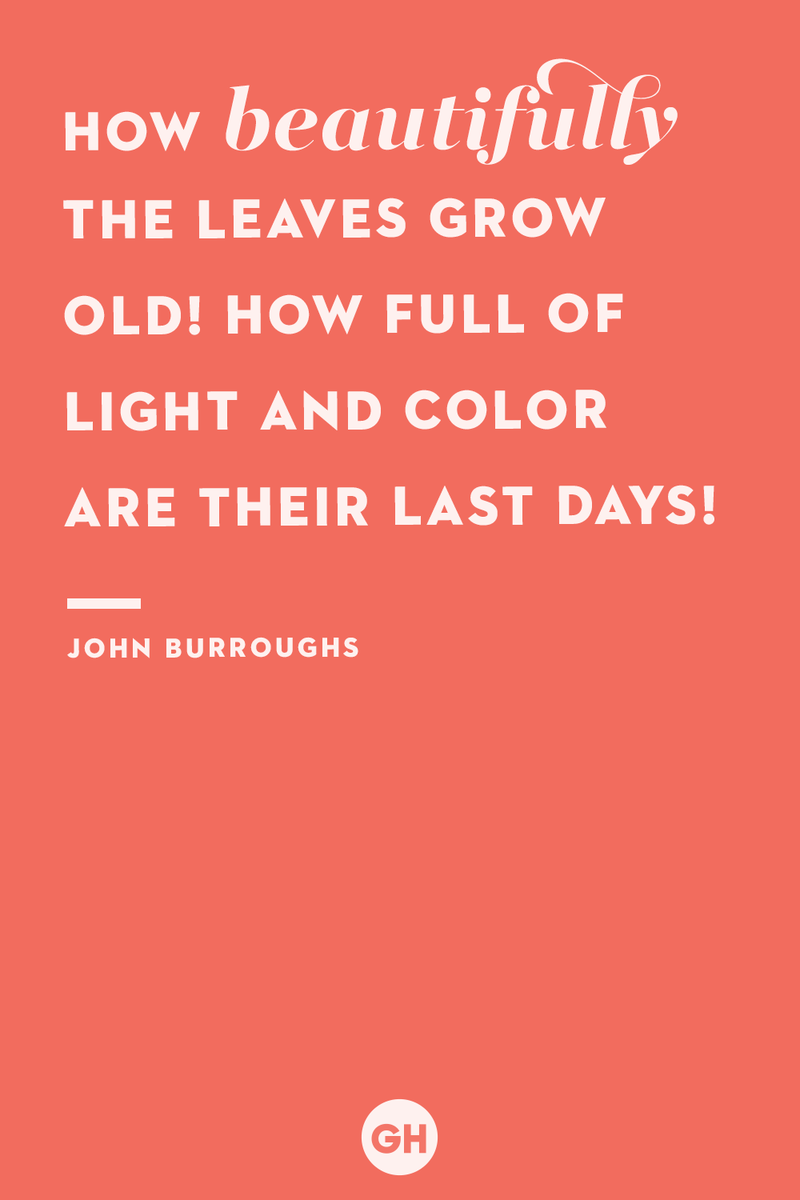 33) John Burroughs