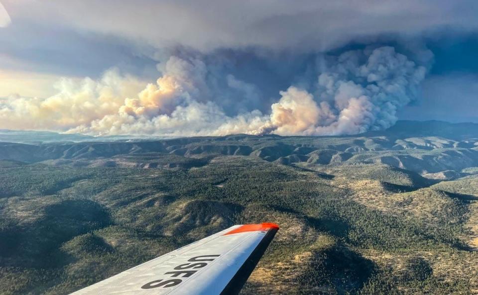 The Black Fire burns in the Gila National Forest on Monday, May 16, 2022.